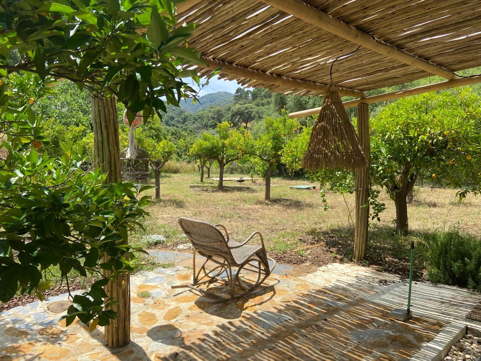 The4Elements Bed & Breakfast Monda Dış mekan fotoğraf