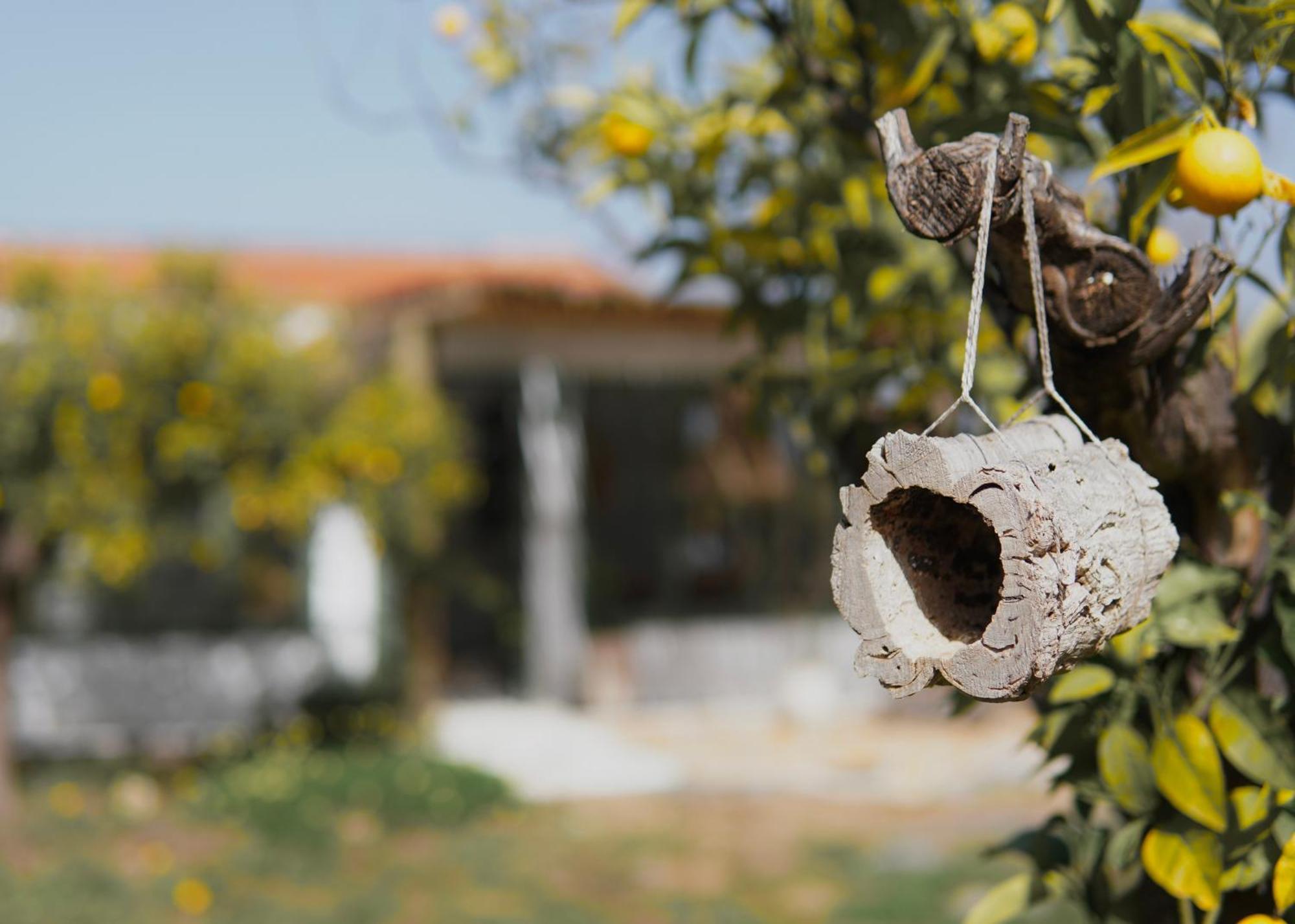 The4Elements Bed & Breakfast Monda Dış mekan fotoğraf